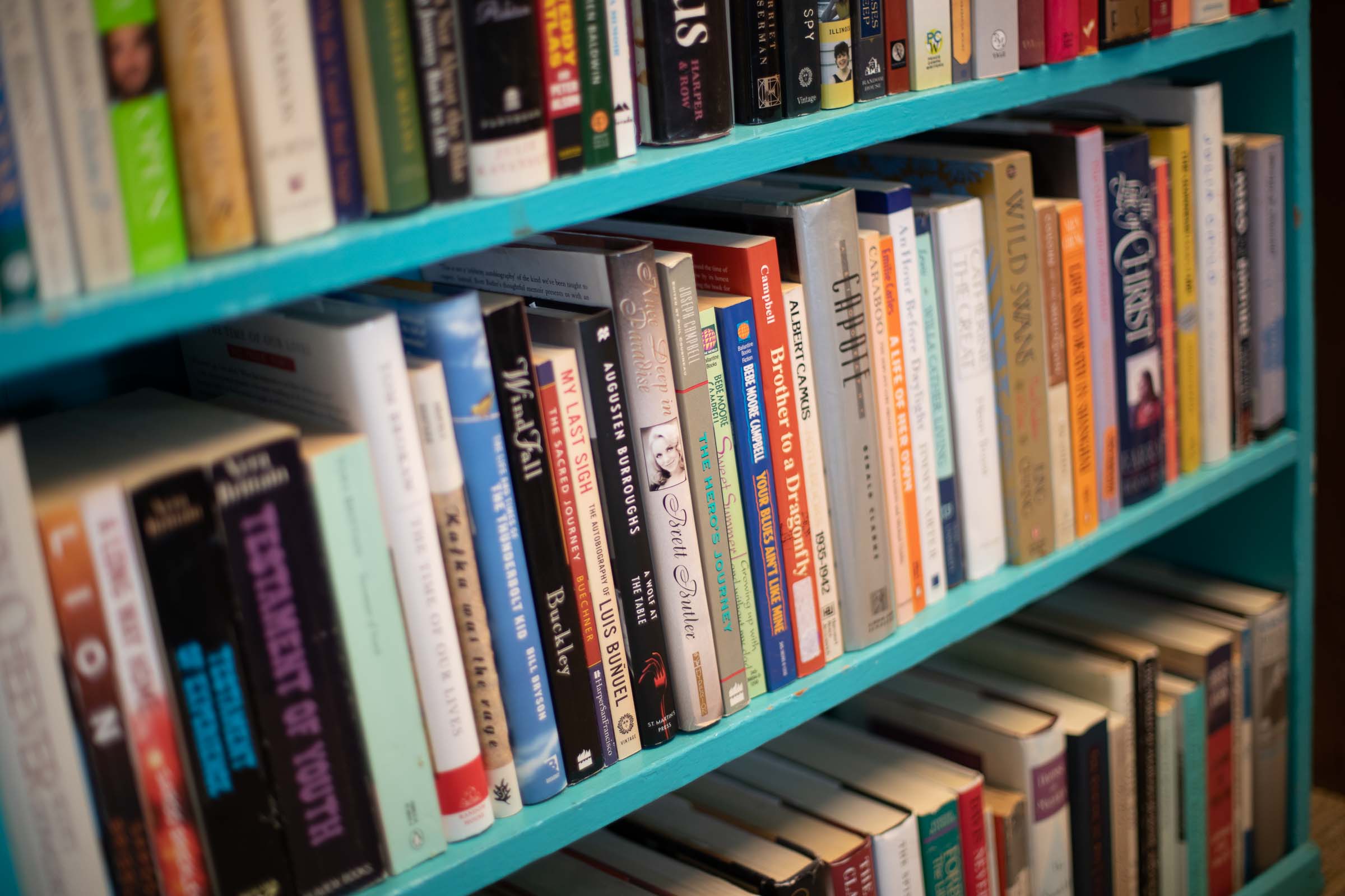 A row of books on a shelf at SOMOS in Taos, New Mexico